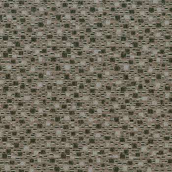 Tabby Cat