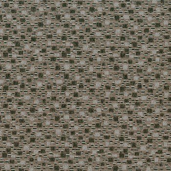 Tabby Cat