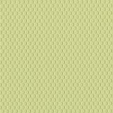 Lawn