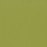Wasabi