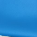 Electric Blue