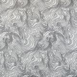 Mica