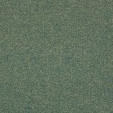 Spruce