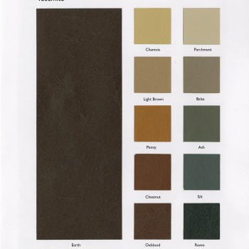 Swatch Card